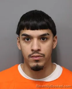 Booking photo from Hendricks County, Indiana