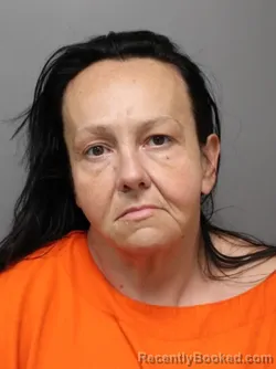 Booking photo from Hendricks County, Indiana