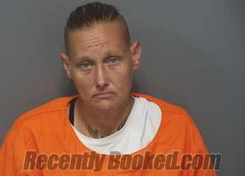 Booking photo from Hendricks County, Indiana