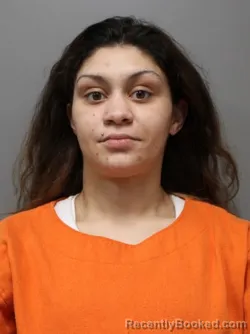 Mugshot of TIFFANY FAYE FITZSIMMONS booked in Hendricks County, Indiana on March 31, 2026