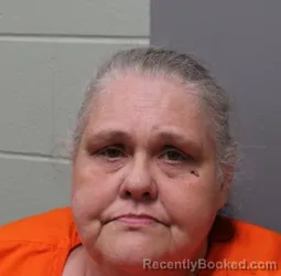 Mugshot of MELISSA DAWN HILLENBURG booked in Hendricks County, Indiana on March 16, 2026