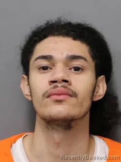 Mugshot of JAYDEN NMI FELIZ