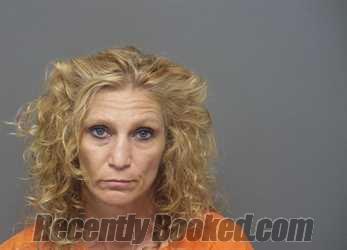 Booking photo from Hendricks County, Indiana