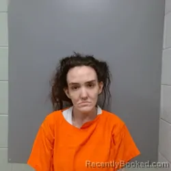Mugshot of SAMANTHA SUE WISE booked in Hendricks County, Indiana on May 11, 2026