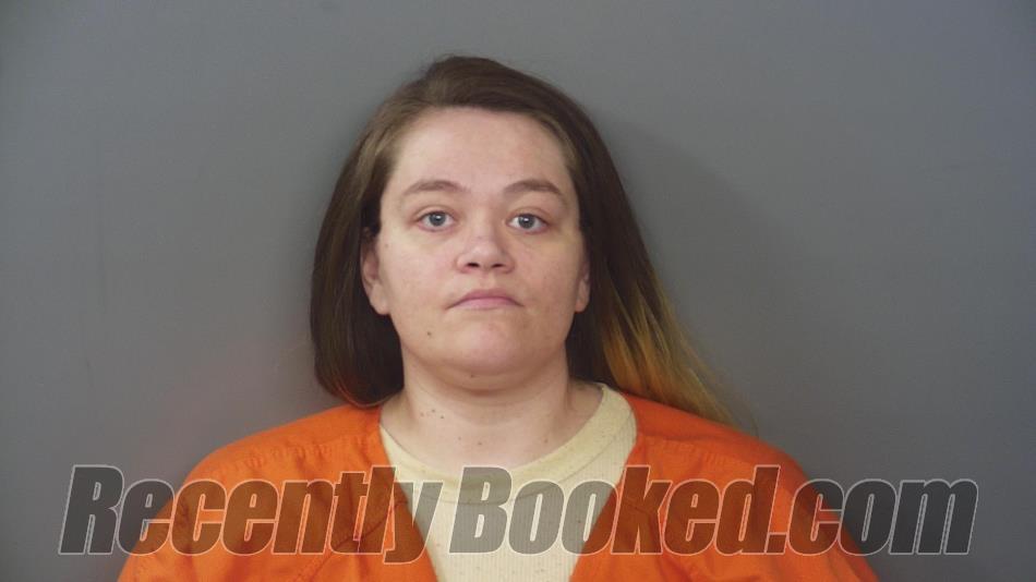 Booking photo from Hendricks County, Indiana
