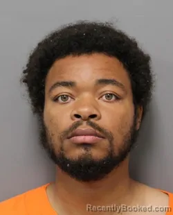 Booking photo from Hendricks County, Indiana