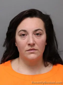 Booking photo from Hendricks County, Indiana