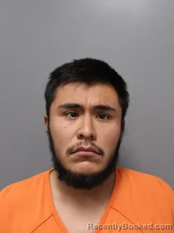 Booking photo from Hendricks County, Indiana