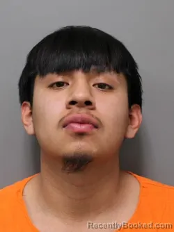 Mugshot of BRIAN NMI MELGAR