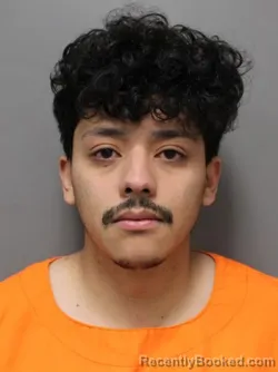 Mugshot of VICTOR NMI TRUJILLO