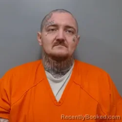 Mugshot of BRYAN LEE LANG