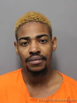 Mugshot of JANVIER SPINOZA