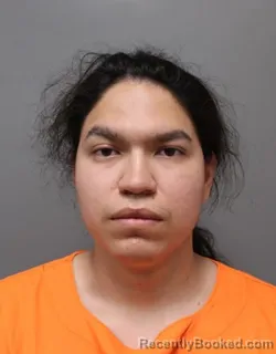 Mugshot of JOSE PINEDA FLORES