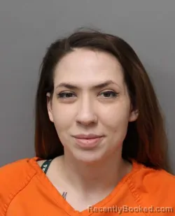 Booking photo from Hendricks County, Indiana