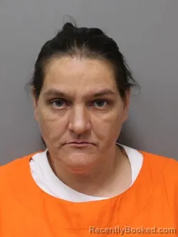 Mugshot of BRANDY REASHELLE HOBBS booked in Hendricks County, Indiana on March 6, 2026