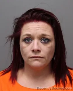 Mugshot of AMANDA E MURRAY