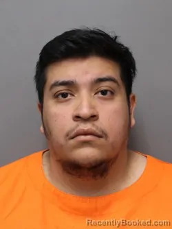 Mugshot of WILLIAN ADAEL LEAL LEAL