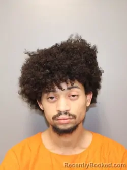 Mugshot of DARIUS ALEXANDER FOSTER