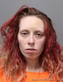 Mugshot of DONNA KETTERY