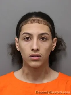 Mugshot of ALAN RAFAEL GALINDEZ MAVARE booked in Hendricks County, Indiana on March 17, 2026