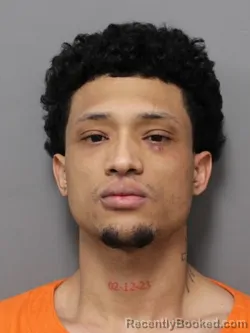 Mugshot of SAMIR ALEXANDER ROMERO FONSECA booked in Hendricks County, Indiana on March 17, 2026