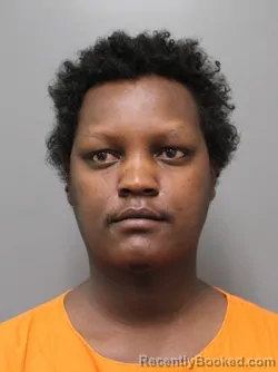 Mugshot of HEGIMAYI NKUNDABANTU booked in Hendricks County, Indiana on March 28, 2026