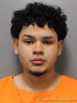 Mugshot of WALTER ALBERTO ORELLANA RAMIREZ booked in Hendricks County, Indiana on May 6, 2026