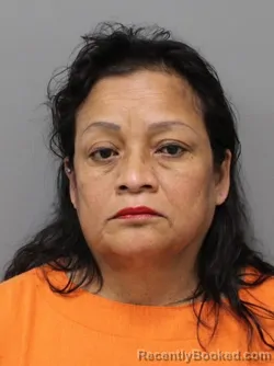 Mugshot of PAULA O GUZMAN booked in Hendricks County, Indiana on June 16, 2026
