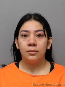 Mugshot of ANGIE SANCHEZ booked in Hendricks County, Indiana on June 19, 2026