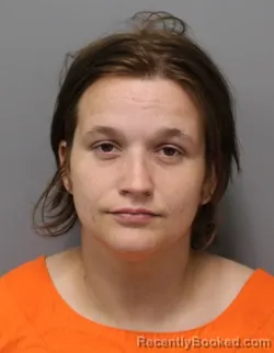 Mugshot of BRITTANI ALANIS HOLTSCLAW booked in Hendricks County, Indiana on June 25, 2026