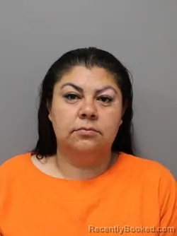Mugshot of NAYELY YAZMIN FUENTES-VAZQUEZ booked in Hendricks County, Indiana on July 9, 2026