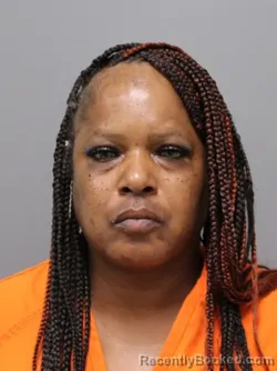 Mugshot of FELICIA MELANIE HILL booked in Hendricks County, Indiana on July 30, 2026
