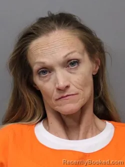 Mugshot of Bridget Lee Green booked in Hendricks County, Indiana on October 19, 2026