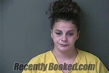 Booking photo from Howard County, Indiana