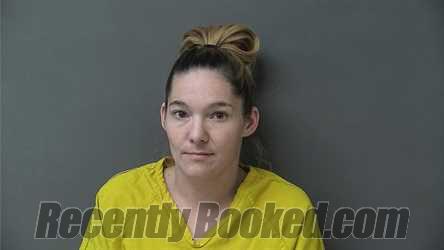 Booking photo from Howard County, Indiana