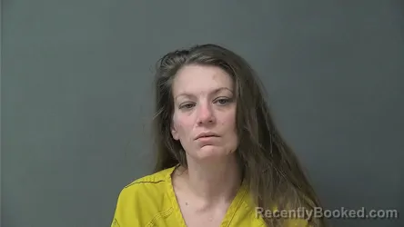 Mugshot of ASHLEY NICOLE WILSON