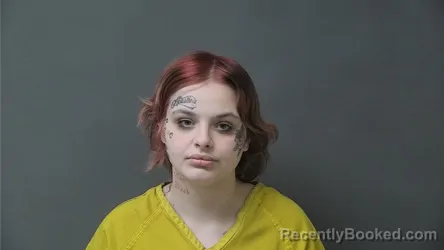 Mugshot of DARCY ANNE ELLIOTT