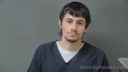 Mugshot of BRANDON ROBERT LEE