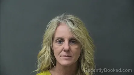Mugshot of JULIE RENEE JOHNSON