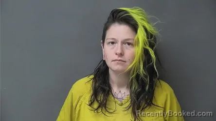 Mugshot of BRIANNA L SISK booked in Howard County, Indiana on March 10, 2026