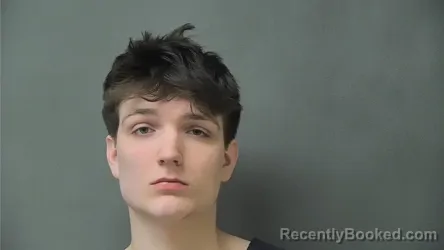 Mugshot of GAVIN NATHANIEL PARKS