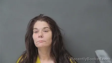 Mugshot of DAWN M EDWARDS booked in Howard County, Indiana on March 19, 2026