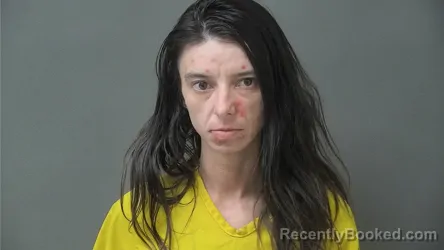 Mugshot of NICHOLE ANN CASTILLO booked in Howard County, Indiana on March 22, 2026