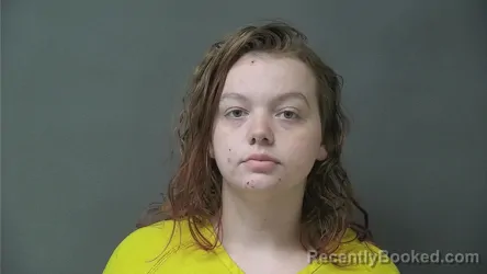 Mugshot of ALYSHIA LYNN WHEELER booked in Howard County, Indiana on March 22, 2026