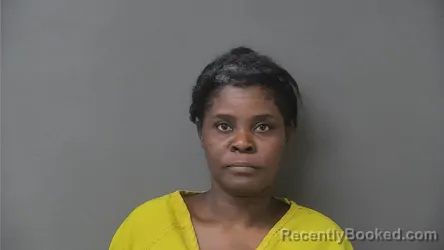 Mugshot of DARLINE NMI SILFORT booked in Howard County, Indiana on March 26, 2026