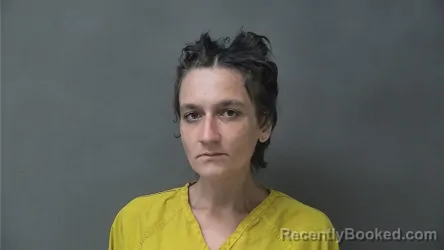 Mugshot of KAYLA MARIE REICHARD booked in Howard County, Indiana on April 3, 2026