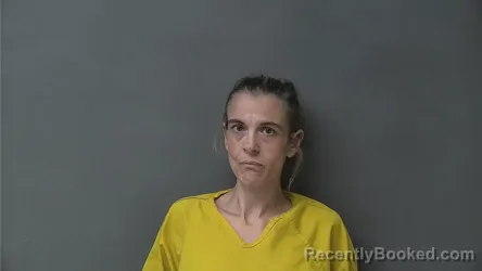 Mugshot of KIMBERLY DIANE RAYN booked in Howard County, Indiana on April 30, 2026