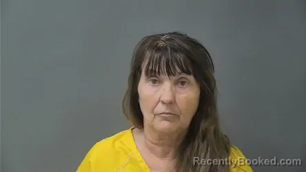 Mugshot of MARY K JARVIS booked in Howard County, Indiana on May 20, 2026