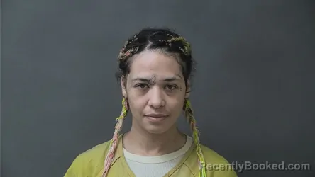 Mugshot of KEESHA MARIE PIGG booked in Howard County, Indiana on May 28, 2026