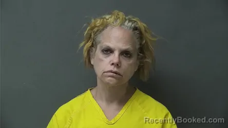 Mugshot of MICHELLE ANN MINOR booked in Howard County, Indiana on May 28, 2026